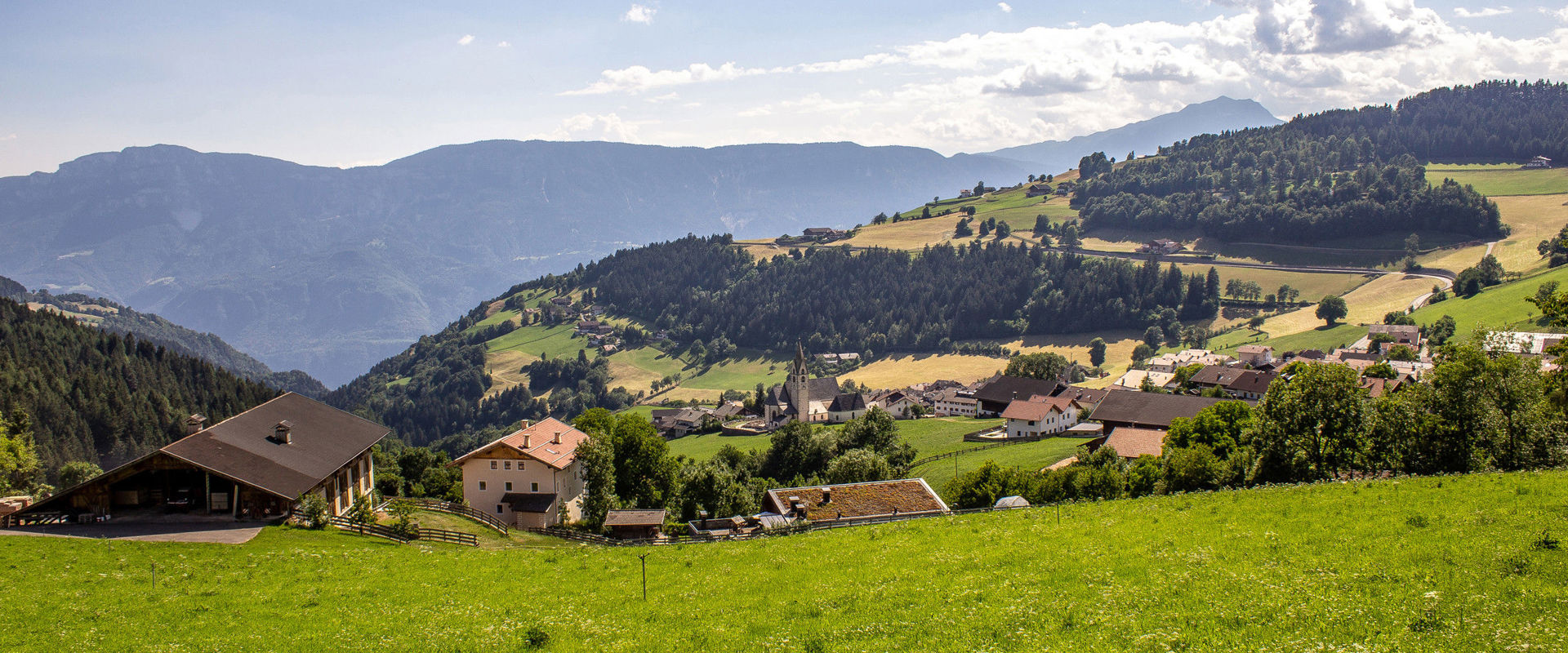 Blick auf Mölten mit Wiesen und Wäldern